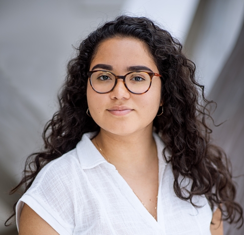 Description of image